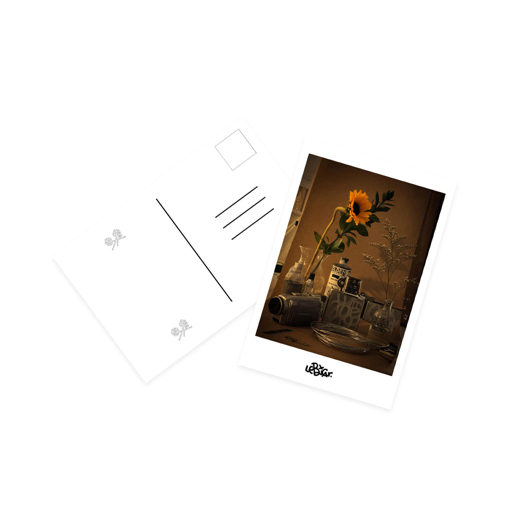 postcard Nature Morte - Sunflower